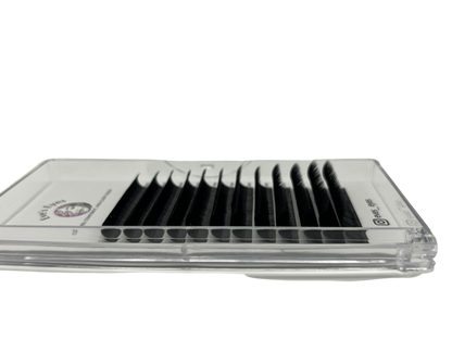 Eyelash Kit